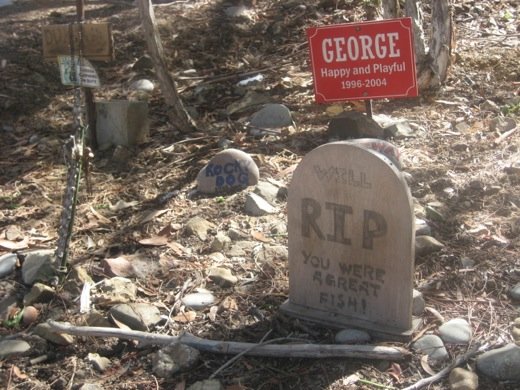 We also ran into the town's Pet Cemetary