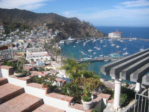 The Harbor