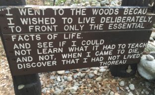 Sign with Thoreau quote