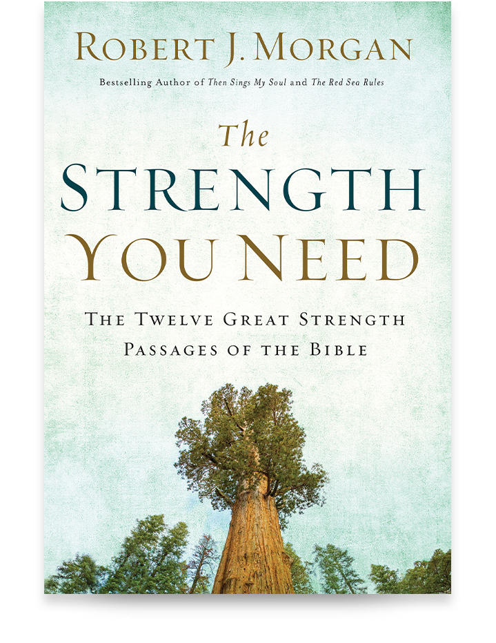 The Strength You Need