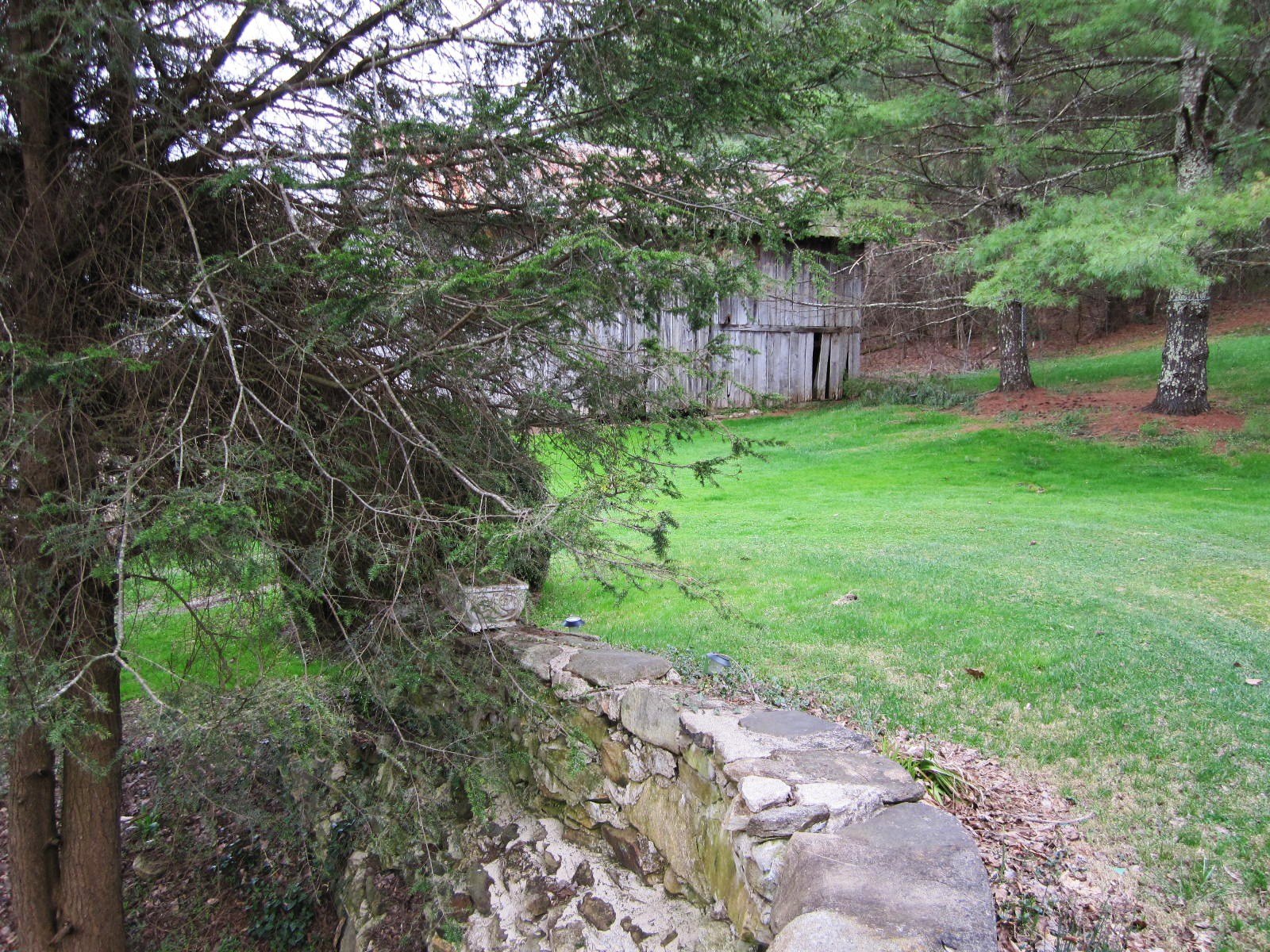 Roan Mountain (Bed and Breakfast)