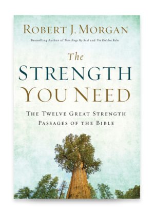 The Strength You Need by Robert J. Morgan