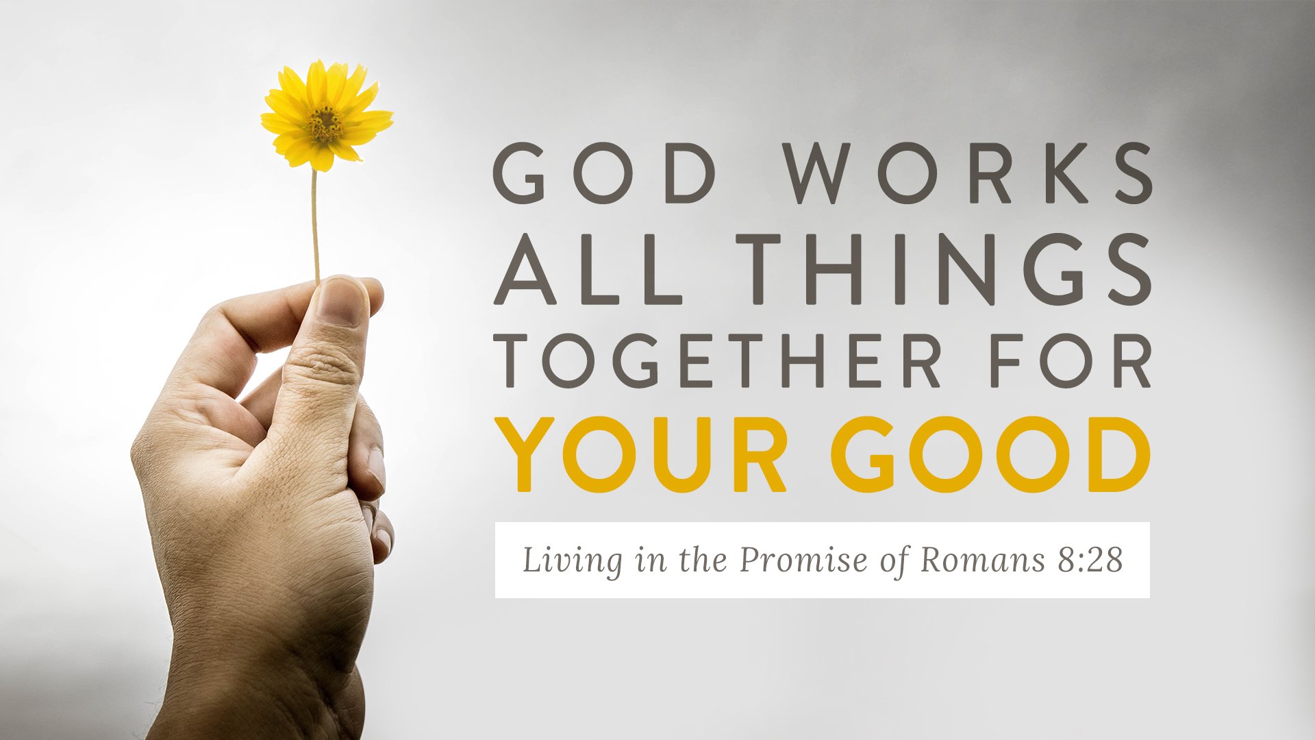 God Works All Things Together for Your Good Video Course - Romans 8:28