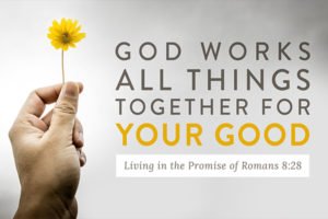 Video Study - God Works All Things Together for Your Good